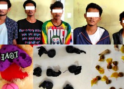 बाँकेको नेपालगन्ज-रुपैडिया सीमाबाट २४ ग्राम 'ब्राउन सुगर' सहित पाँच जना पक्राउ