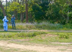 बर्दिया मधुवनमा हात्ती गाउँ छिरेपछि...