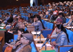 प्रतिनिधिसभा : शून्य समयमा आर्थिक मन्दिदेखी जनगणनासम्मका मुद्दा
