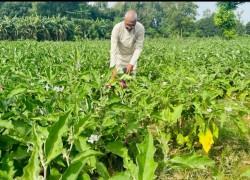 ‘सिरहामा पत्रकार थपलियाले बदलेको छवि’