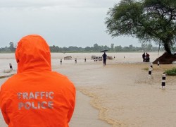 बर्दियामा आठ सय परिवार विस्थापित, राजापुर जोखिममा 