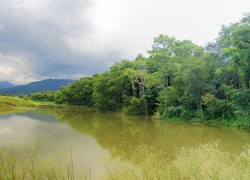 आन्तरिक पर्यटक तान्दै घोराहीको चरिङ्गे दह