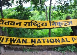 चार महिनामा ४९ वन्यजन्तुको मृत्यु