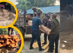 सामुदायिक वनबाट सालको रुख नै गायब, यसरी बरामद भयो मधुवनबाट १५ लाखको अवैध काठ