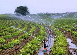 कृषि पर्यटनको गन्तव्य बन्दै बाँके