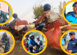 निर्वाचन; शान्ति सुरक्षामा कटिवद्ध बर्दियाका सुरक्षाकर्मी, कस्तो थियो उनिहरूको तिहार (फिल्ड रिपोर्ट)