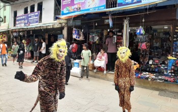 ‘बाघ’ मारेपछि बन्दीपुरमा बाघजात्रा सकियो