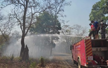 बर्दियामा रहेको २८२ सामुदायिक वन मध्य ६१ मा डढेलो, साना बुट्यान जलेर नष्ट