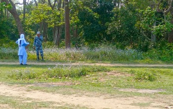 बर्दिया मधुवनमा हात्ती गाउँ छिरेपछि...