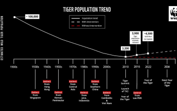 विश्व बाघ दिवस : बाघको सङ्ख्या बढेर तेब्बर, व्यवस्थापनमा चुनौती