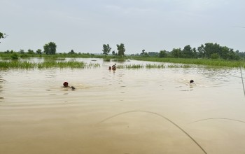 विपद्बाट ५० जिल्ला प्रभावित, ४१ जनाको मृत्यु