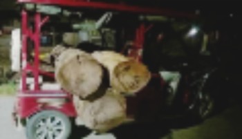 बर्दियाको मधुवनबाट अवैध सालका काठसहित दुई जना पक्राउ, अटो बरामद