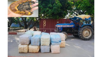 डुडुवाबाट ३० लाखको अवैध सागा च्याउसहित ट्याक्टर सशस्त्र प्रहरीको नियन्त्रणमा