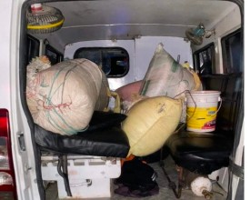 एम्बुलेन्समा गाँजा तस्करी: आधा क्विन्टल गाँजासहित चालक नियन्त्रणमा