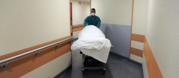 'जापानिज इन्सेफ्लाइटिस' बाट ६ जनाको मृत्यु