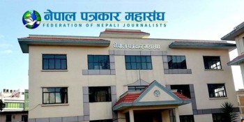 बढे प्रेस स्वतन्त्रता उल्लङ्घनका घटना, १३१ घटना सार्वजनिक