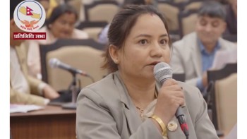 बहुमतको दम्भमा सरकारले संसद्को गरिमा र प्रतिपक्षीलाई कमजोर बनाउन लाग्यो: प्रमुख सचेतक