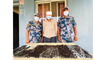 नेपालगञ्जको पिपरहाबाट साढे ५ किलो अफिमसहित एक जना बिओपी कालाबन्जारको नियन्त्रणमा