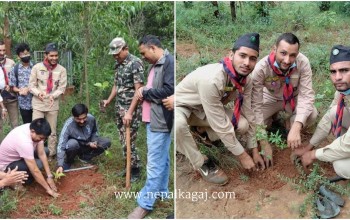 अन्तर्राष्ट्रिय शान्ति दिवसको अवसरमा नेपाल स्काउटद्वारा वृक्षारोपण कार्यक्रम सम्पन्न