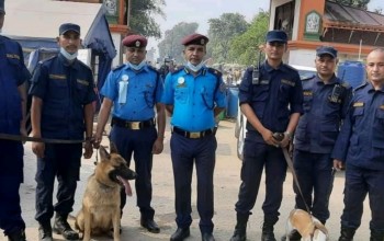 नेपालगन्जको जमुनाह नाकामा गरियो तालिमप्राप्त कुकुर परिचालन
