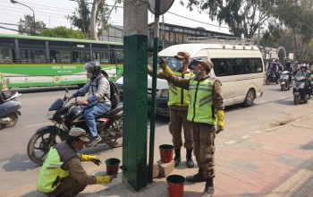 ललितपुरका पोलमा हरियो रङ, विज्ञापन टाँस्नेलाई कारवाही शुरु