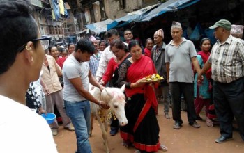 तलेजुको वाहन सेतो घोडा जात्रा सम्पन्न