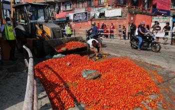 सडकमा गोलभेँडा फालेको घटना छानविन गर्न सुशासन समितिको निर्देशन