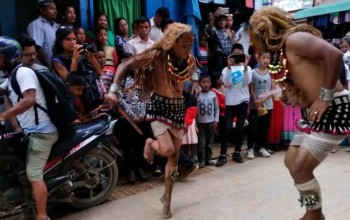 गाईजात्रा पर्व आज बिहानैदेखि सुरु