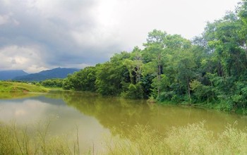 आन्तरिक पर्यटक तान्दै घोराहीको चरिङ्गे दह