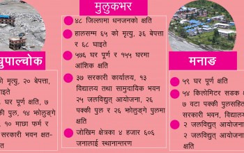 विपद्ले निम्त्याएको दुःख : देशभर कहाँ-कती क्षति ?