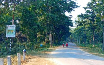 विद्युत प्राधिकरणको लापरबाहीका कारण बर्दियाको मधुवनमा एक जनाको मृत्यु