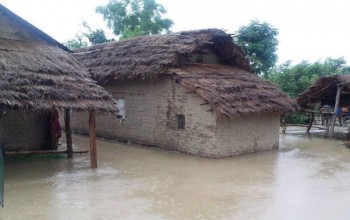 हेर्दाहेर्दै वर्षाले घर ढले, १५० भन्दाबढी घर डुबानमा : परिवार बिचल्लीमा