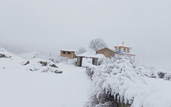 हिमपात भएपछि बाजुराका किसान खुसी, हिमपात भएपछि जङ्गली जनावरको चोरी सिकारी पनि बढ्यो  