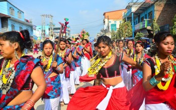 धुमधामका साथ माघीपर्व मनाउँदै थारू समुदाय