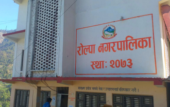 रोल्पा नगरपालिका र थवाङ गाउपालिकामा माओवादी केन्द्र विजयी