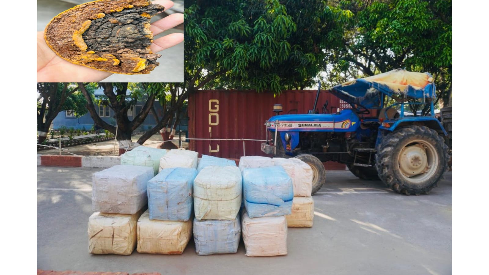 डुडुवाबाट ३० लाखको अवैध सागा च्याउसहित ट्याक्टर सशस्त्र प्रहरीको नियन्त्रणमा