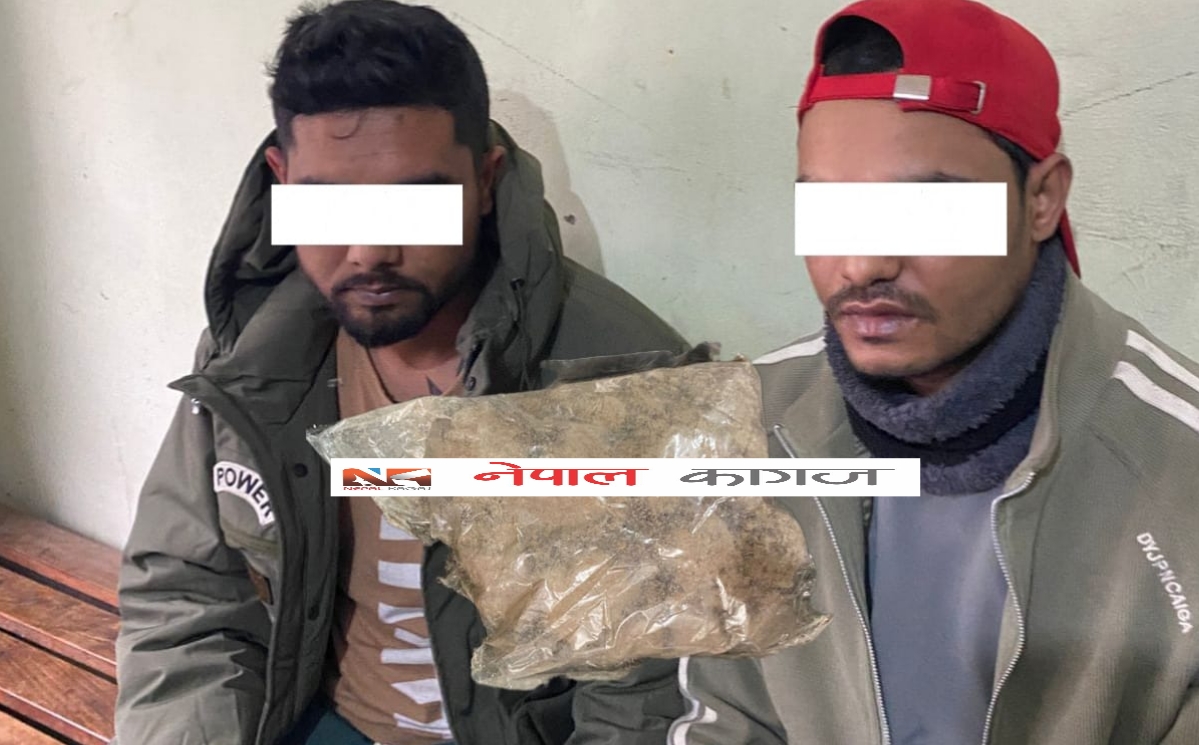 जमुनाह नाकाबाट ४८ ग्राम खैरो हेरोइनसहित दाङका दुई युवक पक्राउ