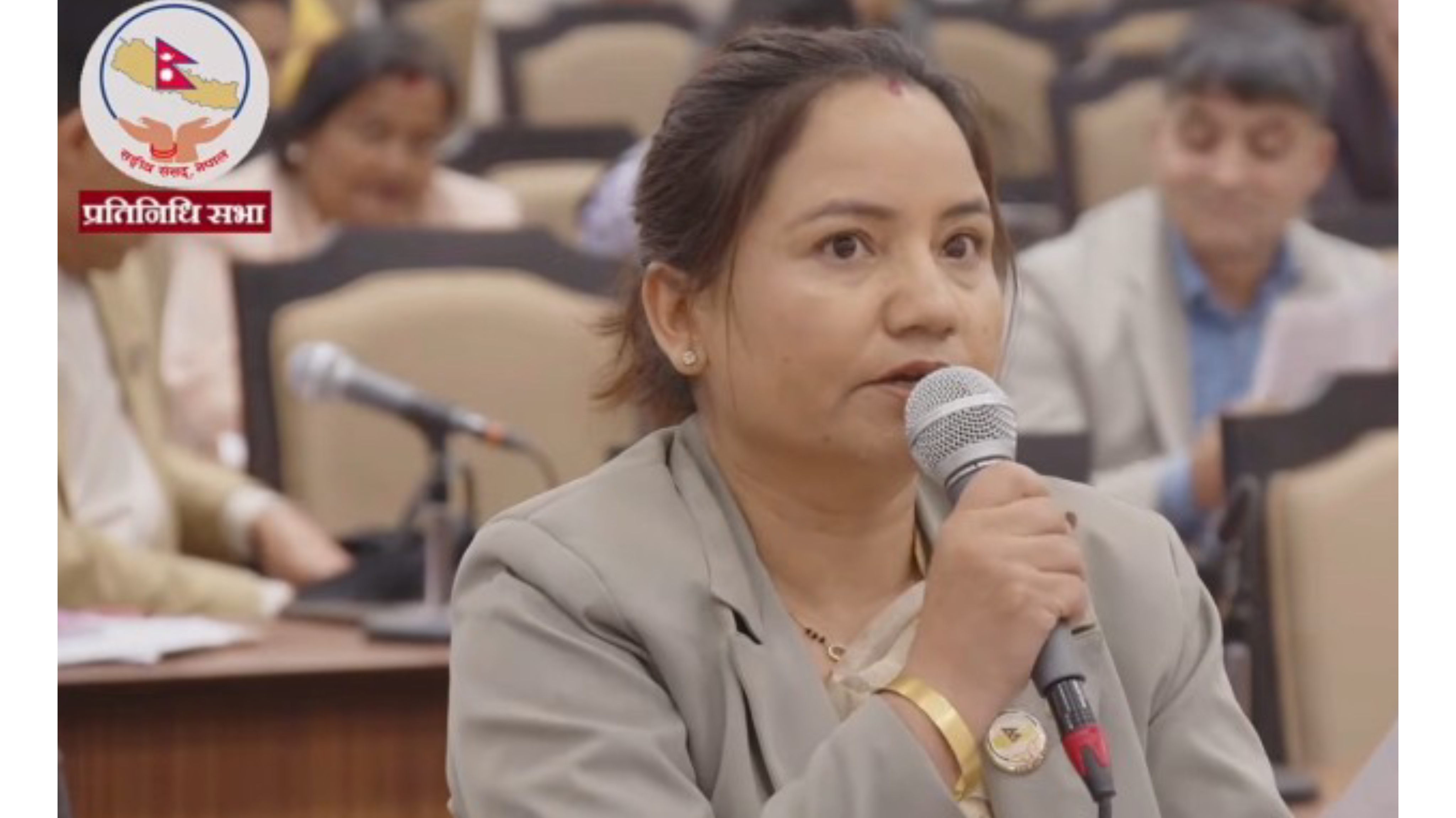 बहुमतको दम्भमा सरकारले संसद्को गरिमा र प्रतिपक्षीलाई कमजोर बनाउन लाग्यो: प्रमुख सचेतक