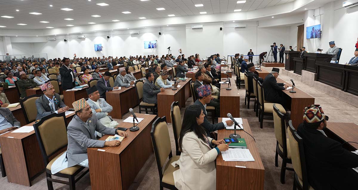 'प्रतिनिधि सभा बैठक'